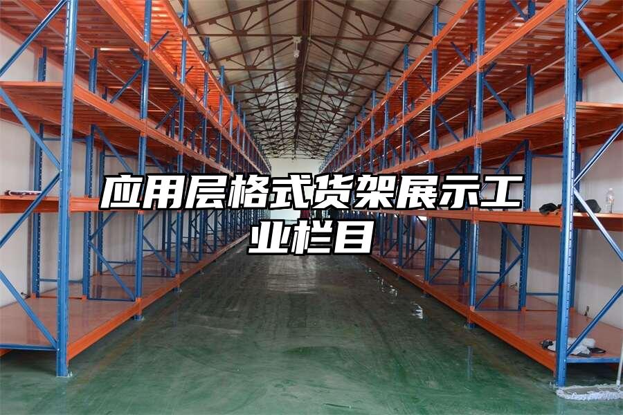 應用層格式貨架展示工業(yè)欄目