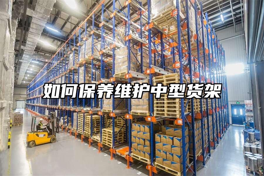 如何保養維護中型貨架