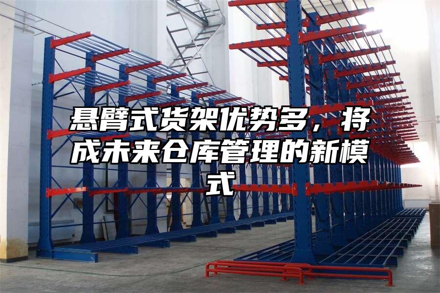 懸臂式貨架優勢多，將成未來倉庫管理的新模式