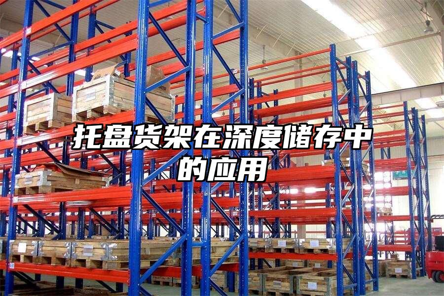 托盤貨架在深度儲(chǔ)存中的應(yīng)用