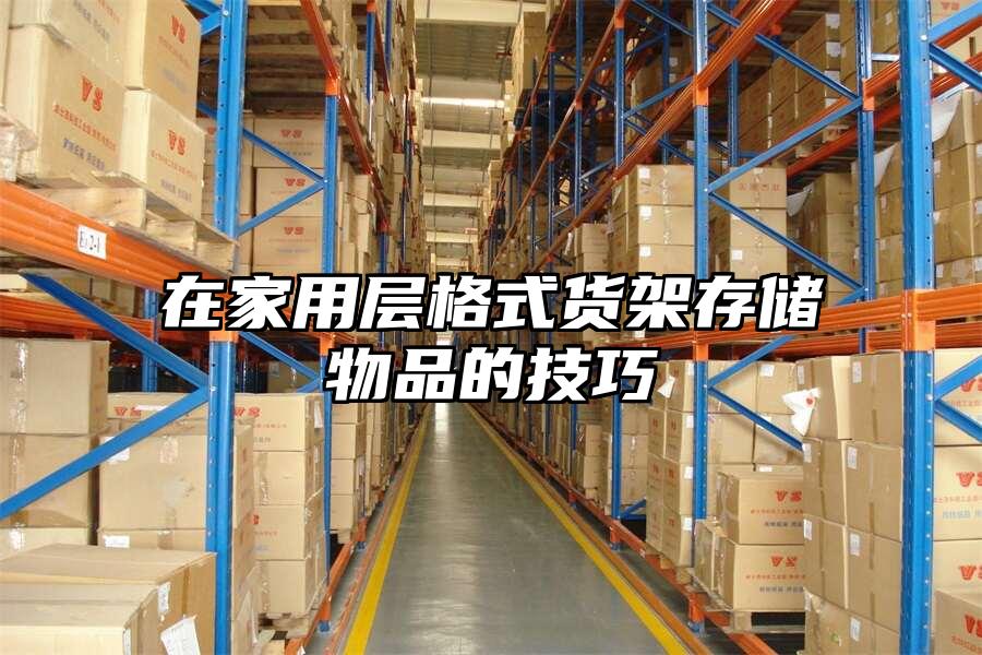 在家用層格式貨架存儲物品的技巧