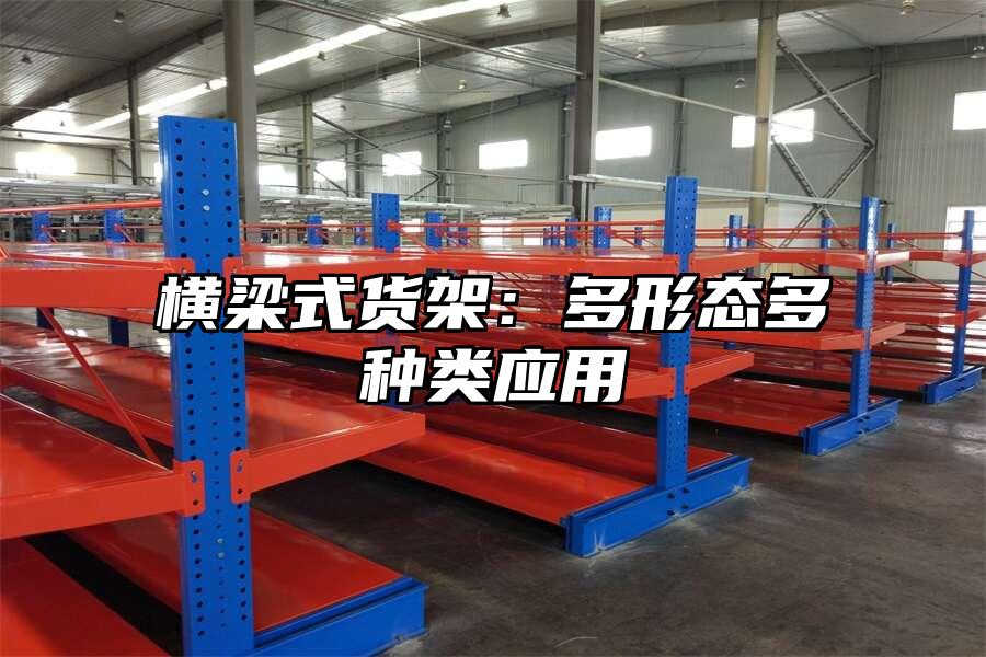 橫梁式貨架：多形態多種類應用