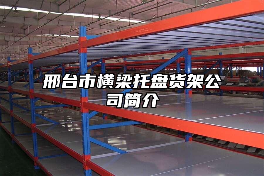 邢臺市橫梁托盤貨架公司簡介