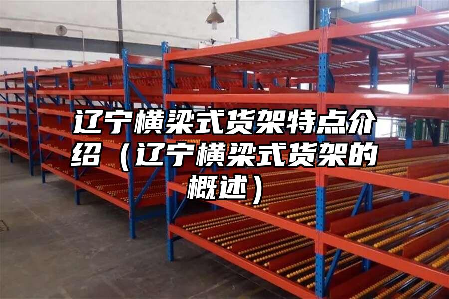 遼寧橫梁式貨架特點(diǎn)介紹（遼寧橫梁式貨架的概述）