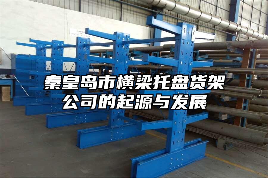 秦皇島市橫梁托盤貨架公司的起源與發(fā)展
