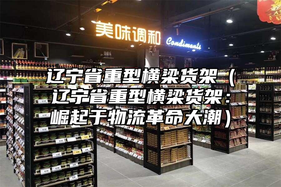 遼寧省重型橫梁貨架（遼寧省重型橫梁貨架：崛起于物流革命大潮）