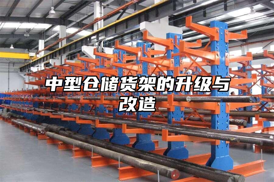 中型倉儲貨架的升級與改造