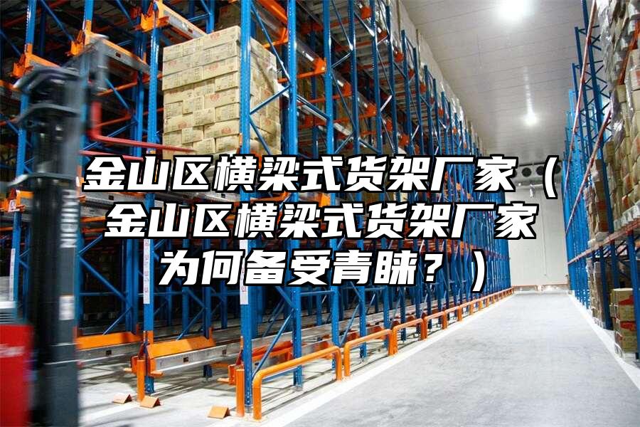 金山區橫梁式貨架廠家（金山區橫梁式貨架廠家為何備受青睞？）