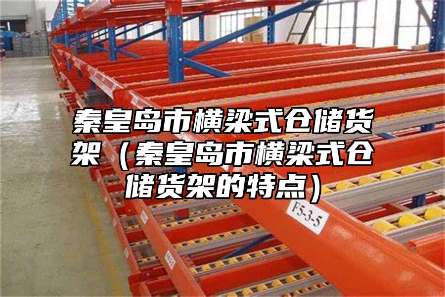 秦皇島市橫梁式倉儲貨架（秦皇島市橫梁式倉儲貨架的特點）