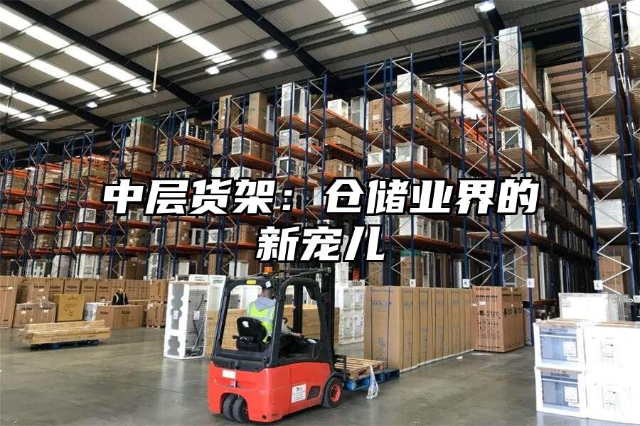 中層貨架：倉儲業界的新寵兒