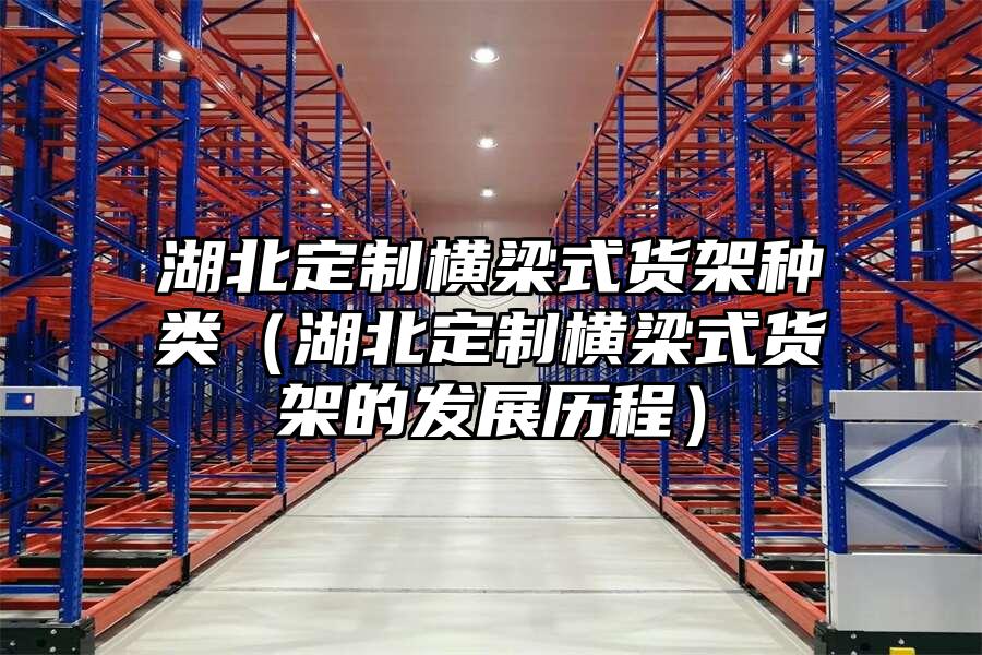 湖北定制橫梁式貨架種類（湖北定制橫梁式貨架的發展歷程）