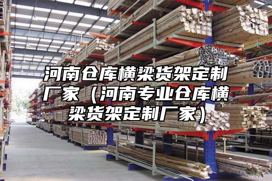 河南倉庫橫梁貨架定制廠家（河南專業倉庫橫梁貨架定制廠家）