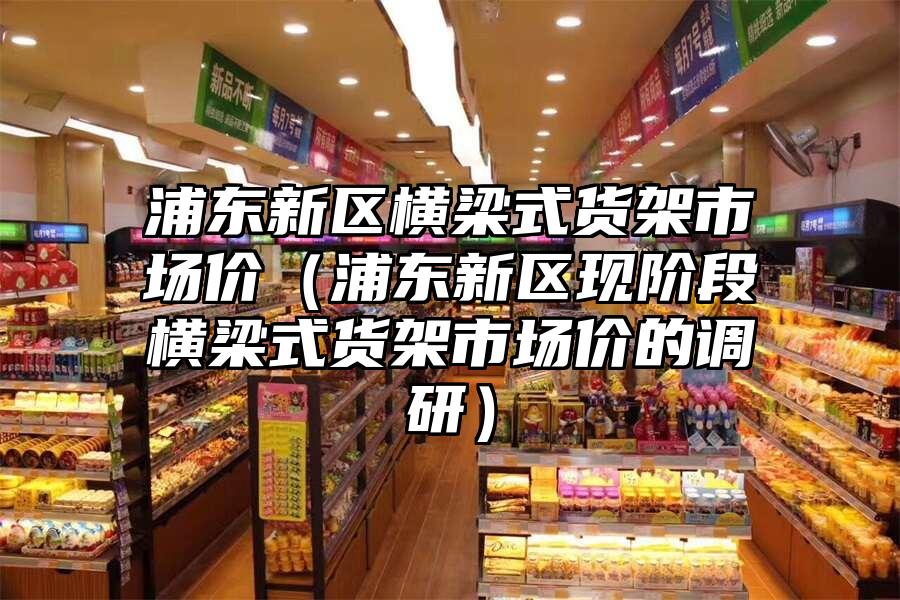 浦東新區(qū)橫梁式貨架市場價（浦東新區(qū)現(xiàn)階段橫梁式貨架市場價的調(diào)研）
