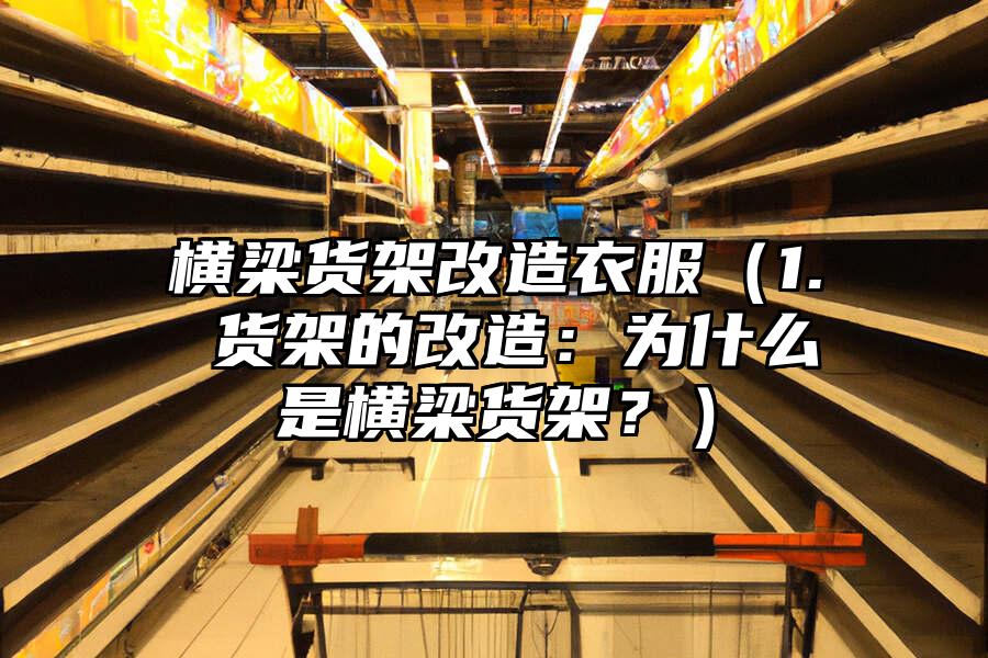 橫梁貨架改造衣服（1. 貨架的改造：為什么是橫梁貨架？）