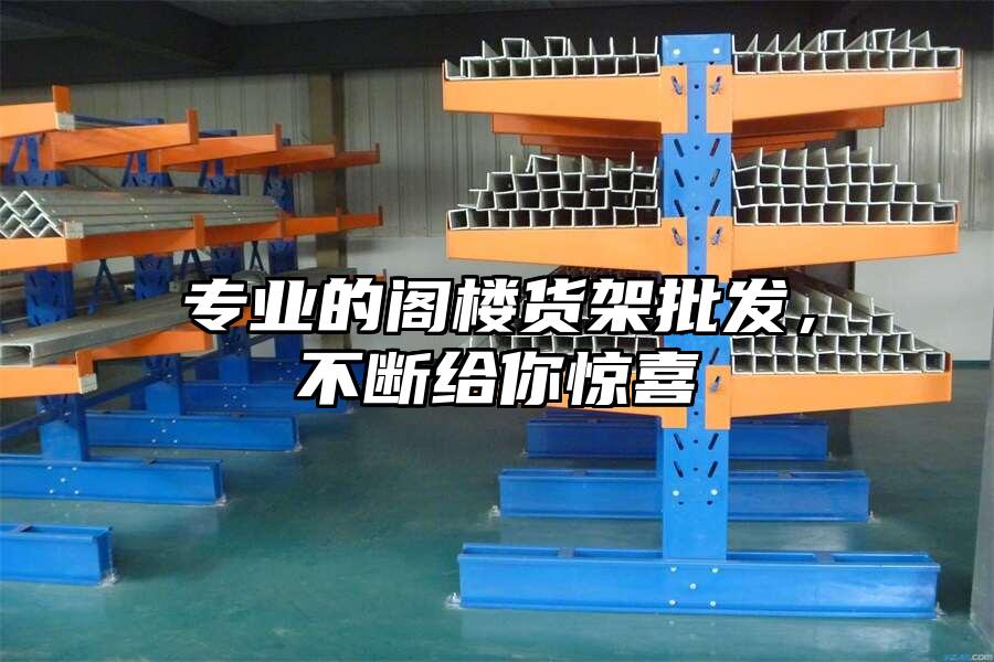 專(zhuān)業(yè)的閣樓貨架批發(fā)，不斷給你驚喜