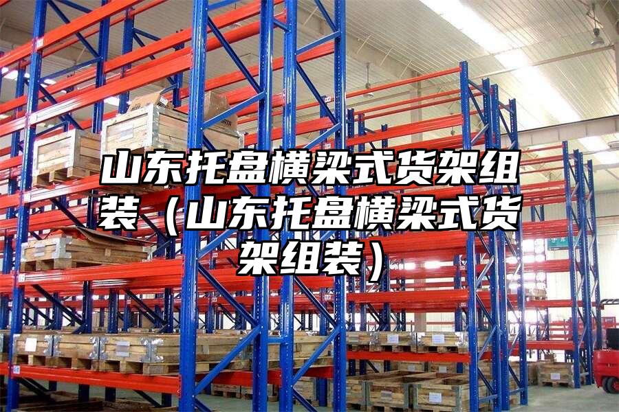山東托盤橫梁式貨架組裝（山東托盤橫梁式貨架組裝）