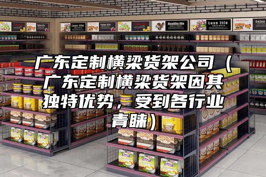 廣東定制橫梁貨架公司（廣東定制橫梁貨架因其獨特優(yōu)勢，受到各行業(yè)青睞）
