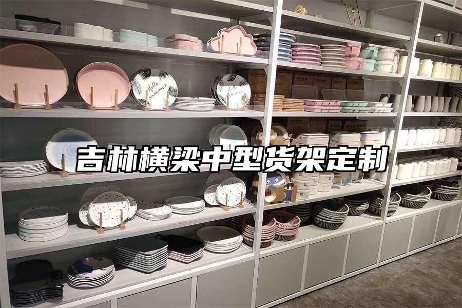 吉林橫梁中型貨架定制