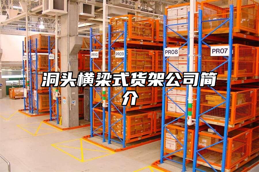 洞頭橫梁式貨架公司簡介