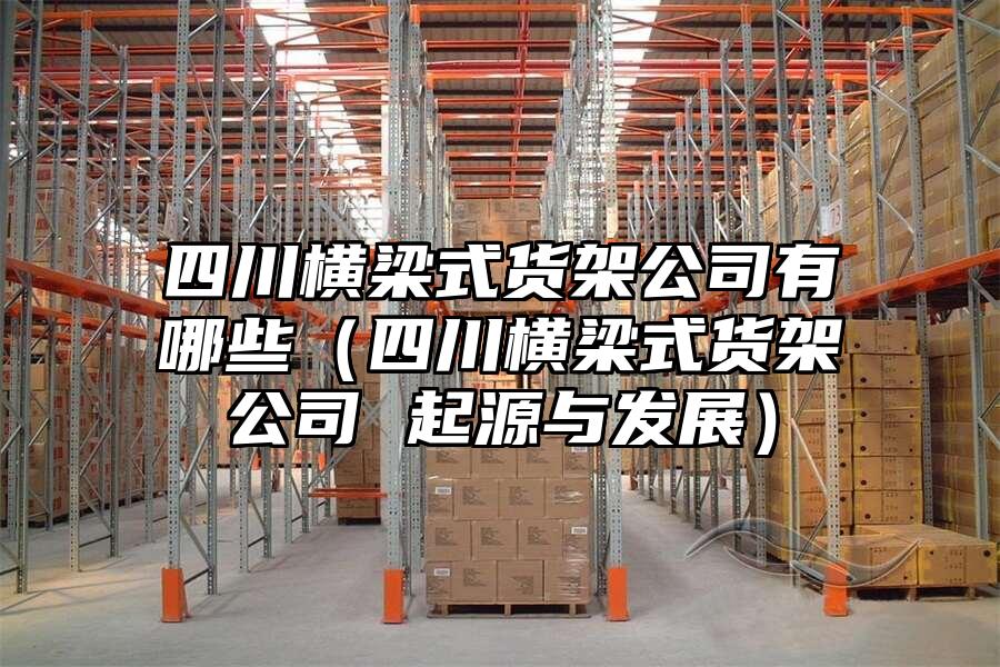 四川橫梁式貨架公司有哪些（四川橫梁式貨架公司 起源與發展）