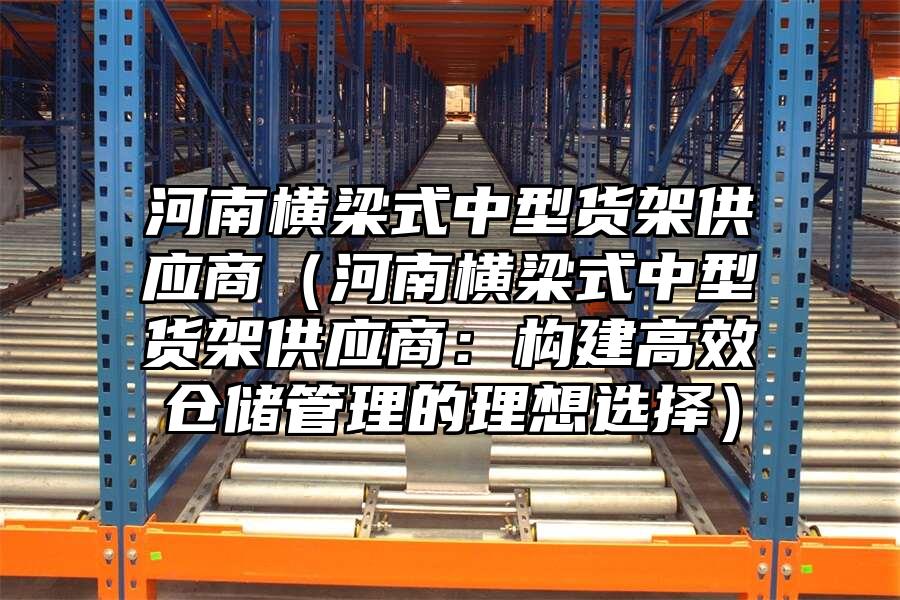 河南橫梁式中型貨架供應商（河南橫梁式中型貨架供應商：構建高效倉儲管理的理想選擇）