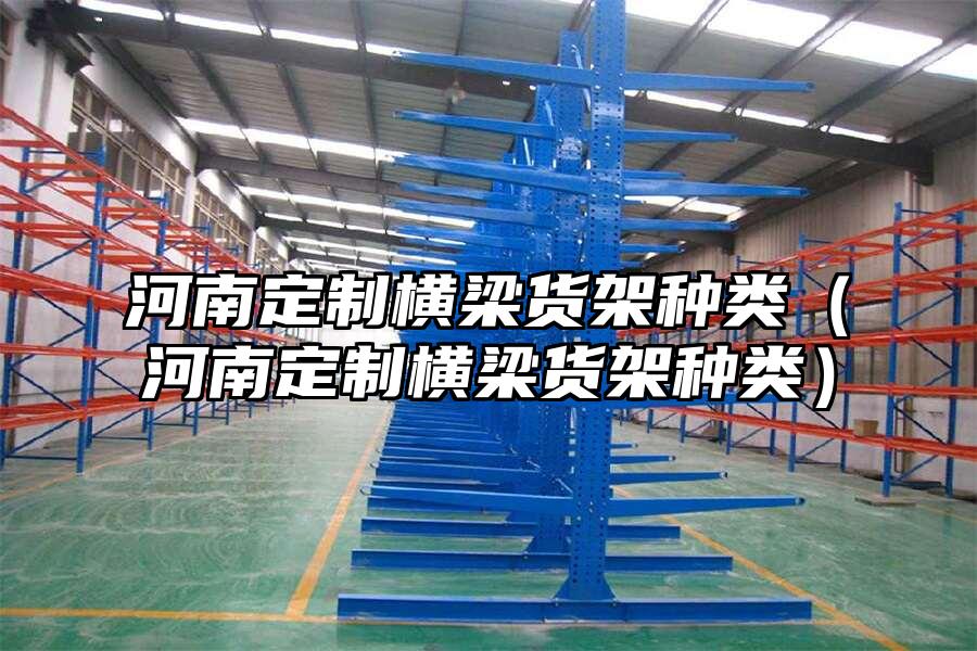 河南定制橫梁貨架種類（河南定制橫梁貨架種類）