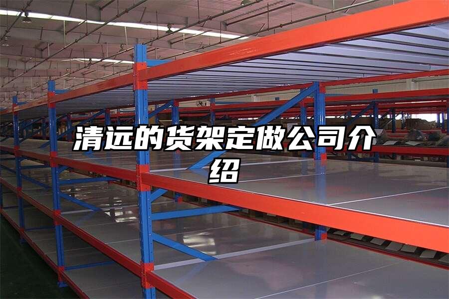 清遠(yuǎn)的貨架定做公司介紹