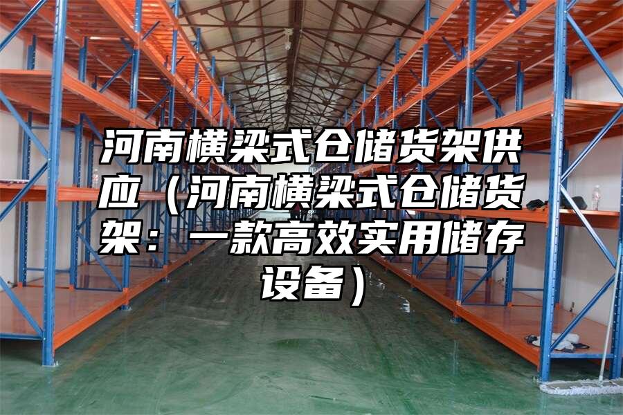 河南橫梁式倉儲貨架供應（河南橫梁式倉儲貨架：一款高效實用儲存設備）