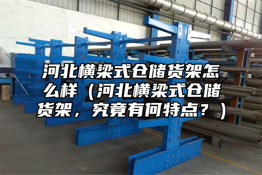 河北橫梁式倉儲貨架怎么樣（河北橫梁式倉儲貨架，究竟有何特點？）