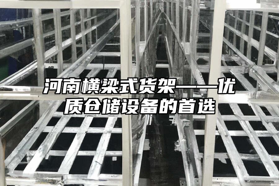 河南橫梁式貨架——優(yōu)質(zhì)倉儲設(shè)備的首選