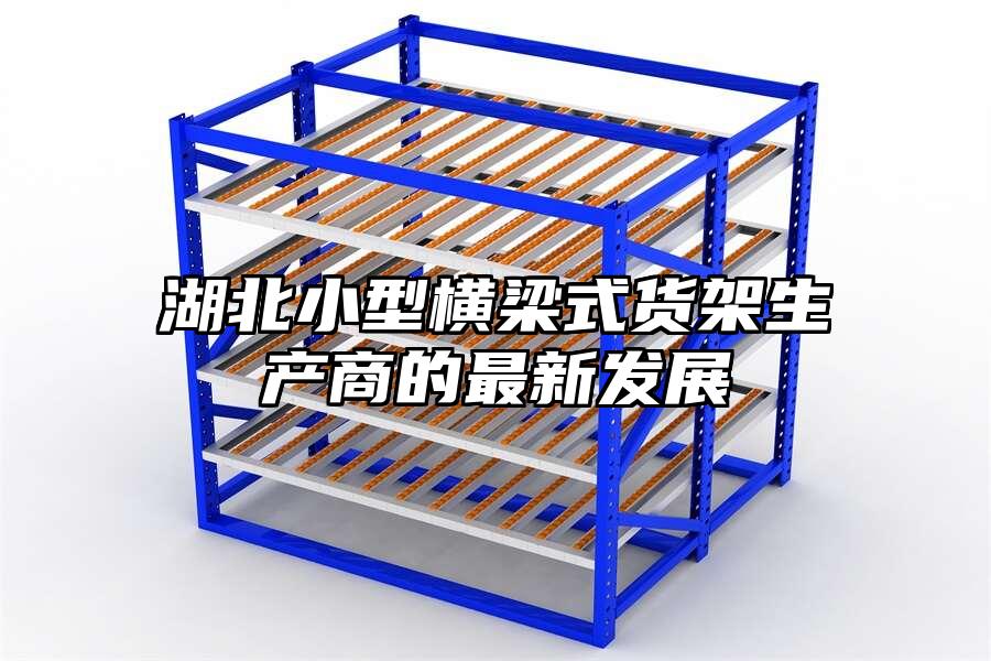 湖北小型橫梁式貨架生產商的最新發展