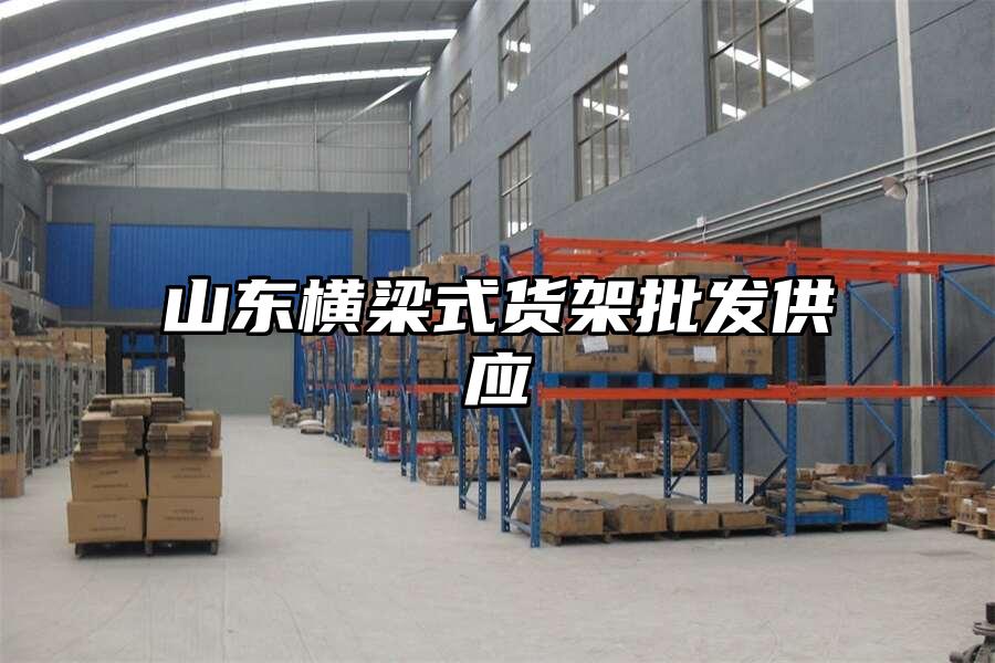 山東橫梁式貨架批發供應