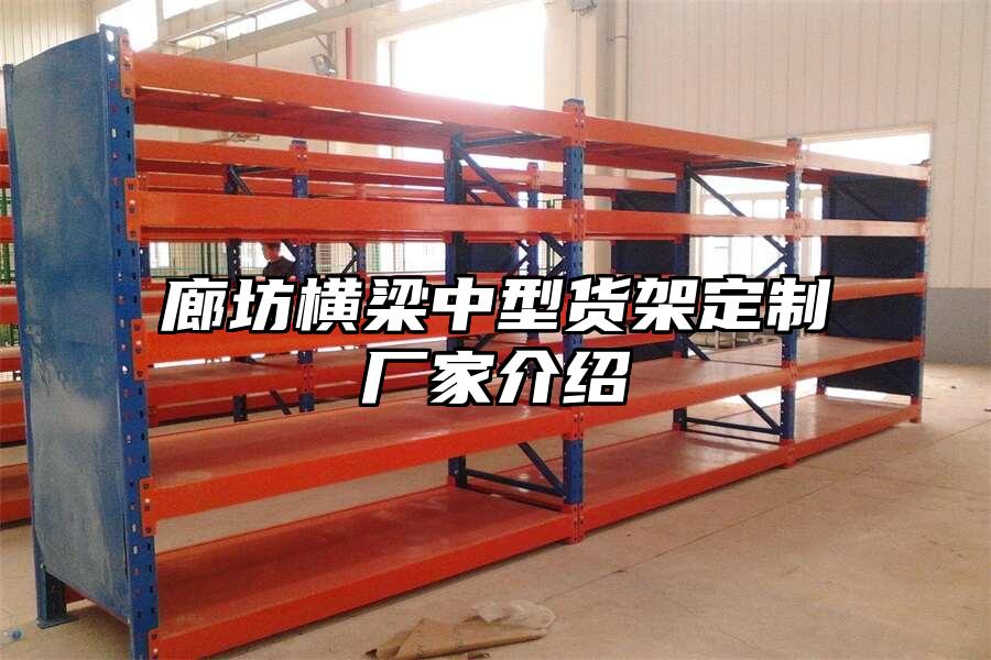 廊坊橫梁中型貨架定制廠家介紹