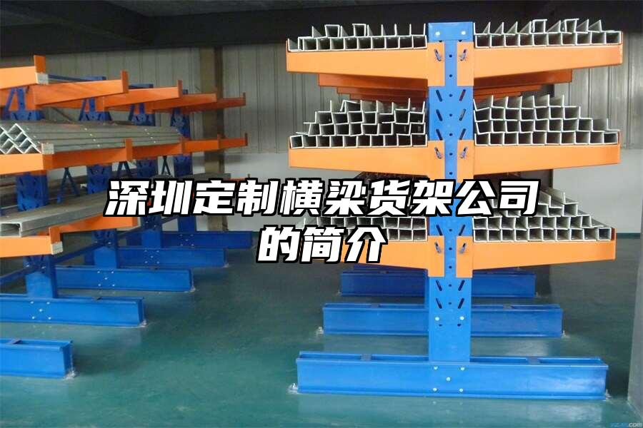 深圳定制橫梁貨架公司的簡介