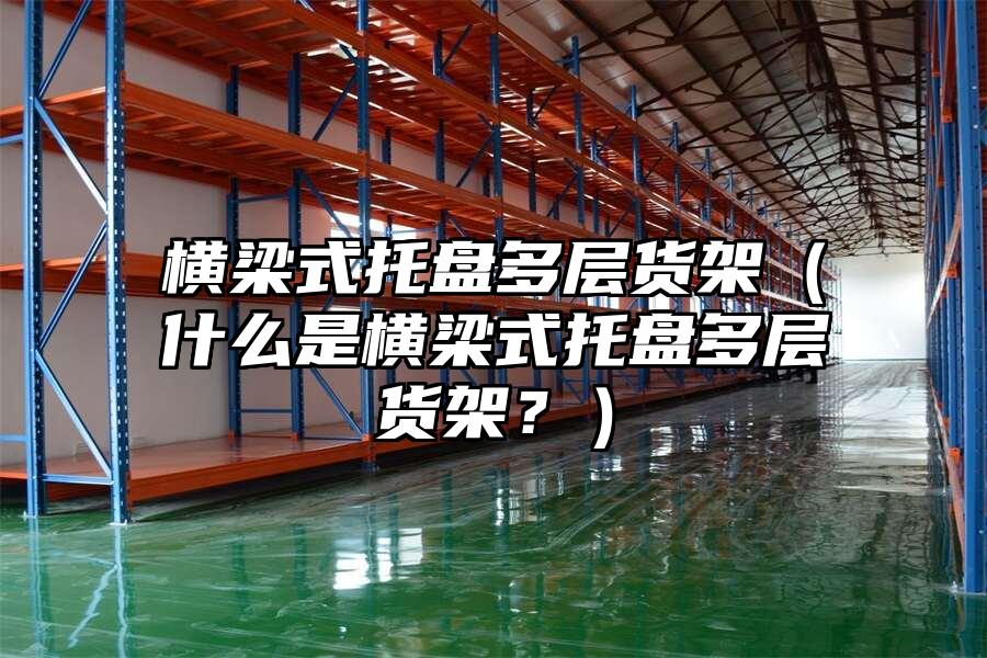 橫梁式托盤多層貨架（什么是橫梁式托盤多層貨架？）