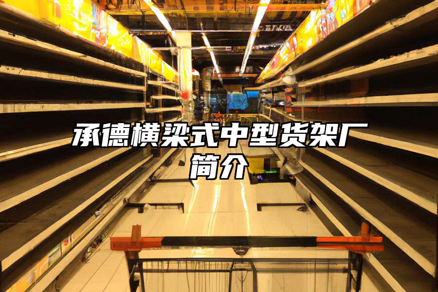 承德橫梁式中型貨架廠簡(jiǎn)介