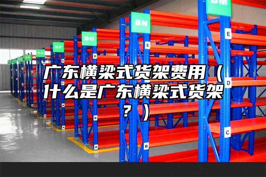 廣東橫梁式貨架費用（什么是廣東橫梁式貨架？）