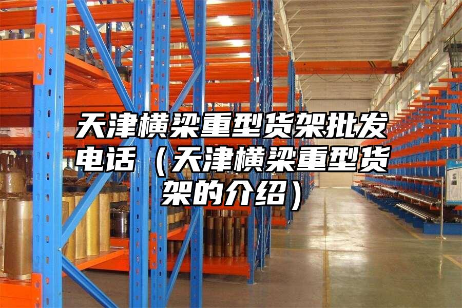 天津橫梁重型貨架批發電話（天津橫梁重型貨架的介紹）