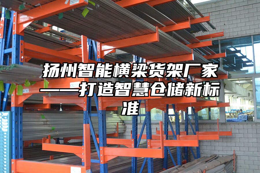 揚州智能橫梁貨架廠家——打造智慧倉儲新標準