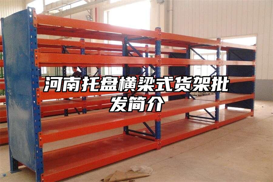 河南托盤橫梁式貨架批發(fā)簡(jiǎn)介
