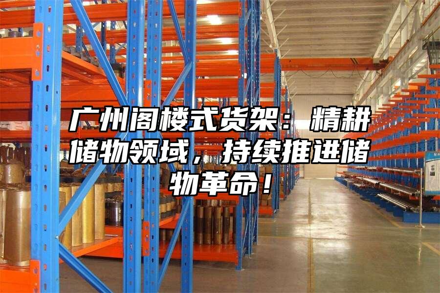 廣州閣樓式貨架：精耕儲物領(lǐng)域，持續(xù)推進儲物革命！