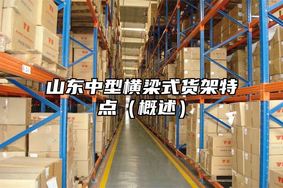 山東中型橫梁式貨架特點（概述）