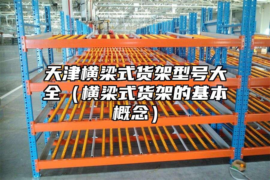 天津橫梁式貨架型號大全（橫梁式貨架的基本概念）