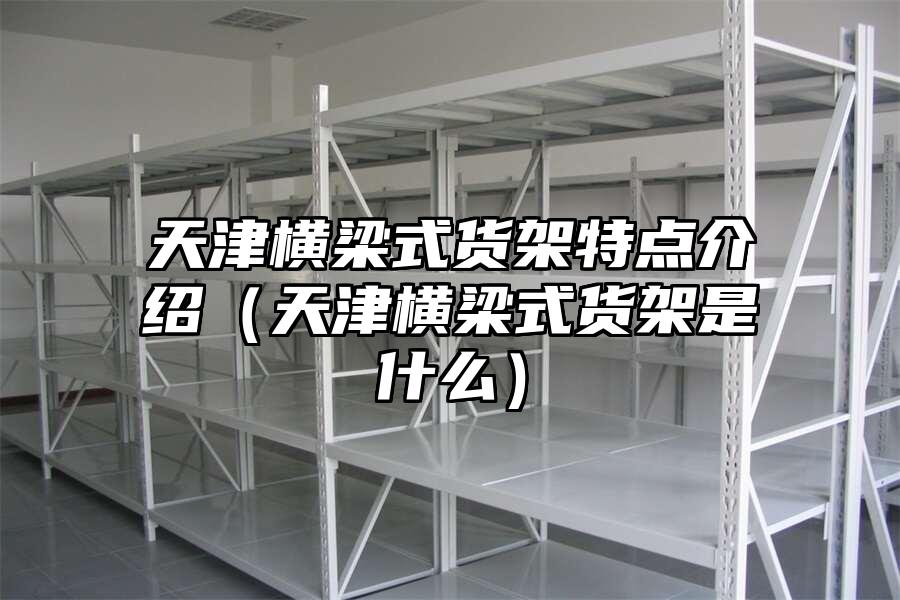 天津橫梁式貨架特點介紹（天津橫梁式貨架是什么）