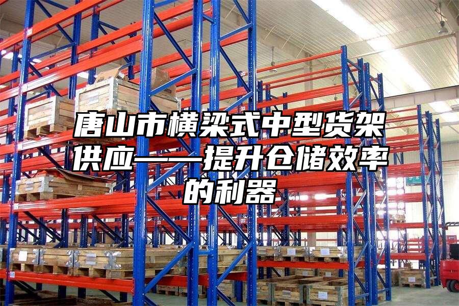唐山市橫梁式中型貨架供應——提升倉儲效率的利器