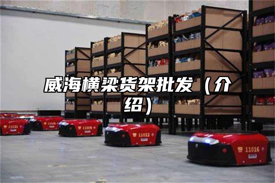 威海橫梁貨架批發(fā)（介紹）