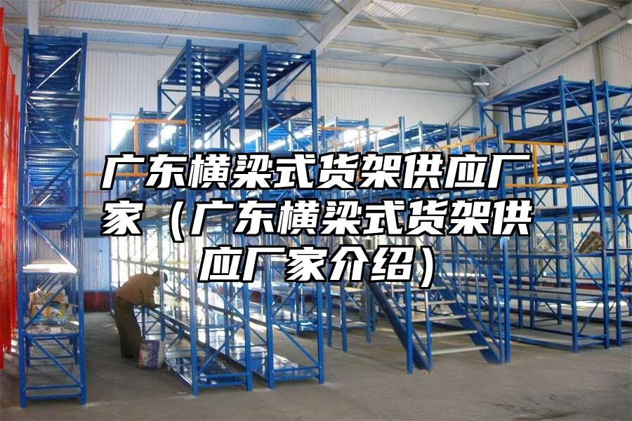 廣東橫梁式貨架供應廠家（廣東橫梁式貨架供應廠家介紹）