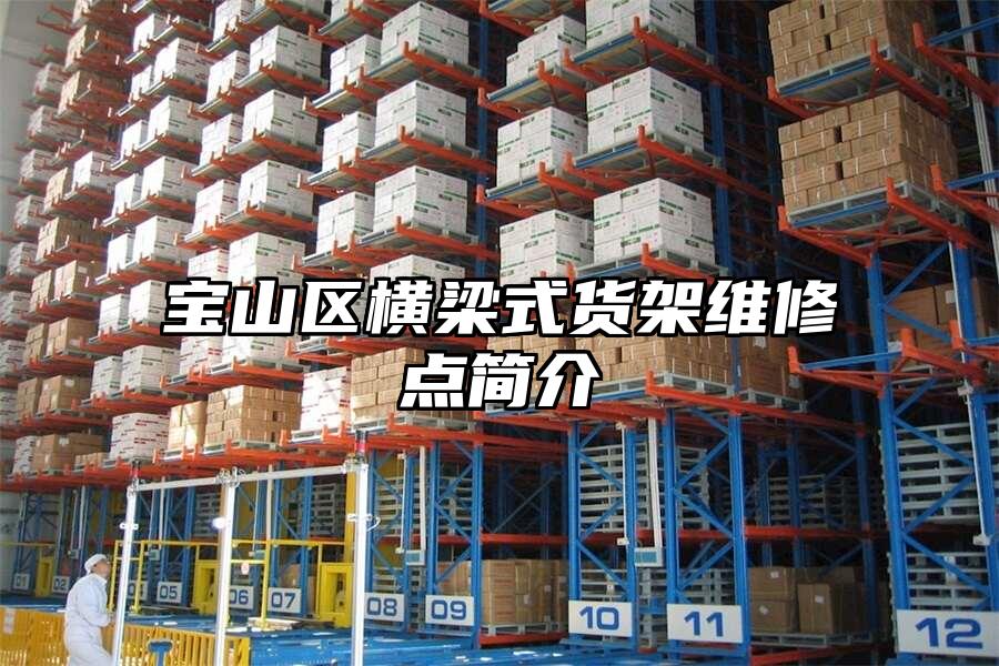 寶山區橫梁式貨架維修點簡介