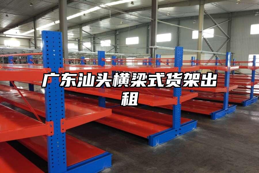 廣東汕頭橫梁式貨架出租