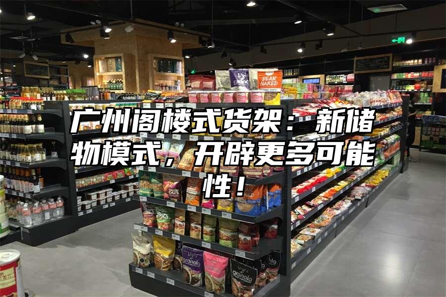 廣州閣樓式貨架：新儲物模式，開辟更多可能性！